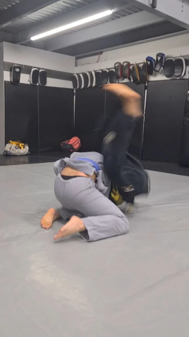 Seoi otoshi / drop seoi nage is one of the highest percentage throws in judo. But with significant back exposure, is it too risky to try in BJJ competition?