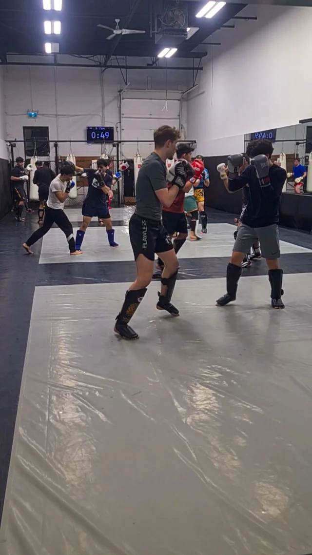 It's sparring night!